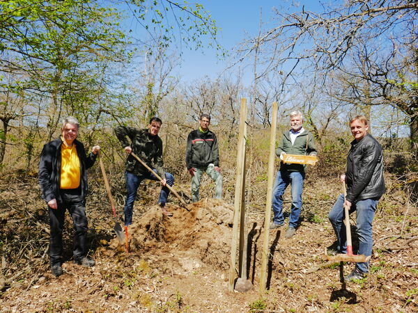 Fünf Männer pflanzen in einem Stadtwald gemeinsam einen Baum. 